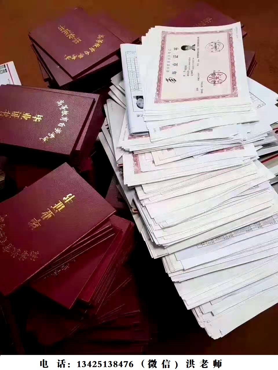 罗湖网络教育.jpg