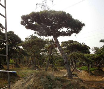 未标题-4.jpg