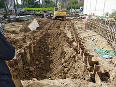IMG_20170403_082258_1_BURST001_COVER.jpg