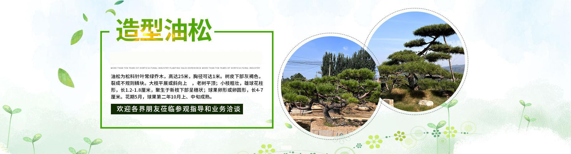 轮播1.jpg