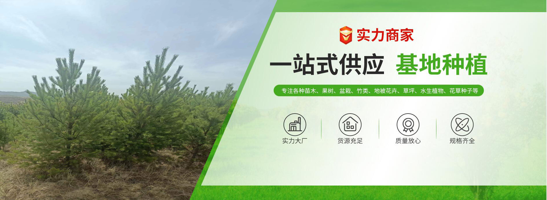 轮播3.jpg
