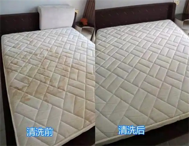 QQ截图20241212203120.jpg