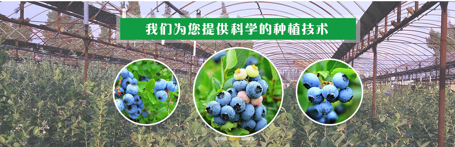 QQ截图20200731212121.png